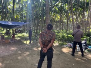 Kumabal! Usai di Gerebek Polres Pohuwato, Sabung Ayam di Desa Bulili Diduga Pindah ke Desa Taluduyunu