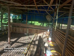 Kandang Tak Selesai, Ayam Pun Hilang Entah Kemana, Kades Karya Baru Bungkam?