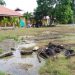 SMP Negeri 1 Wanggarasi Tergenang Air dan Rusak Parah, DPRD Pohuwato Janjikan Perbaikan pada APBD 2025