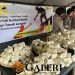 Pani Gold Project Serahkan Bantuan Kemanusiaan untuk Korban Banjir dan Longsor di Gorontalo