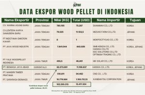Kecurangan PT. BJA di Hutan Pohuwato, Hanya Dua Jenis Kayu Dilaporkan
