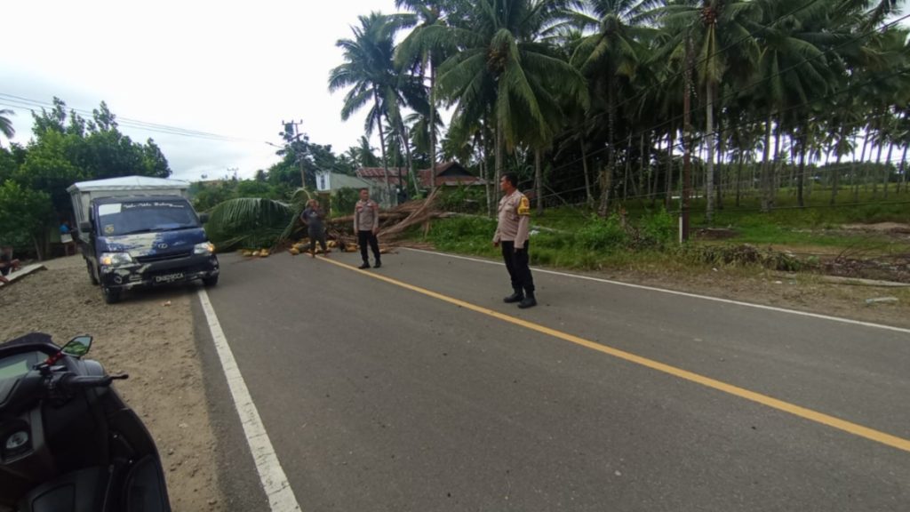 Kapolres Pohuwato Imbau Warga Tetap Waspada Usai Insiden Pohon Tumbang