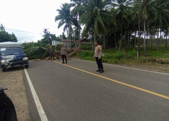 Kapolres Pohuwato Imbau Warga Tetap Waspada Usai Insiden Pohon Tumbang