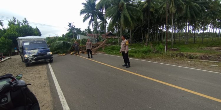 Kapolres Pohuwato Imbau Warga Tetap Waspada Usai Insiden Pohon Tumbang