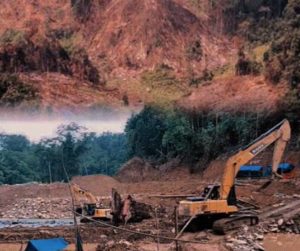 To Jenderal Listyo, PETI Teratai Semakin Liar, APH Tak Berkutik?