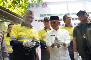 Merdeka Gold Resources Konservasi Burung Maleo, Satwa Terancam Punah Di Pohuwato