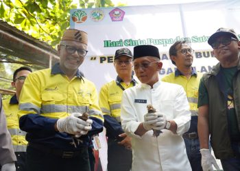 Merdeka Gold Resources Konservasi Burung Maleo, Satwa Terancam Punah Di Pohuwato