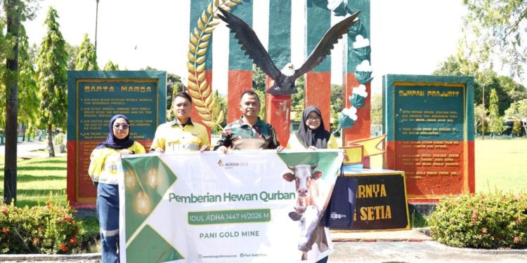 Dukung Syiar Keagamaan, Pani Gold Mine Salurkan 43 SapiQurban di Pohuwato dan Gorontalo