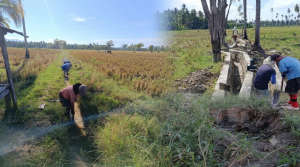 Kolaborasi dengan Masyarakat, IR Team Jalankan Tiga Program Strategis untuk Lingkungan dan Pertanian
