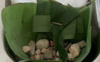 Miris! 240 Siswa SDN 08 Marisa Dapat MBG, Batu Kerikil Malah Ikut Tersaji